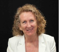 Kerrie Anne Hayes, Director of Nursing and Midwifery, CCDHB (2009–2012)